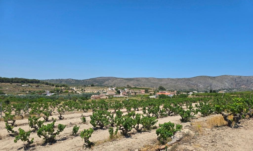 Finca/Maison de Campagne de 4 chambres à louer à Teulada avec piscine garage - 2 990 € (Ref: 9827294)