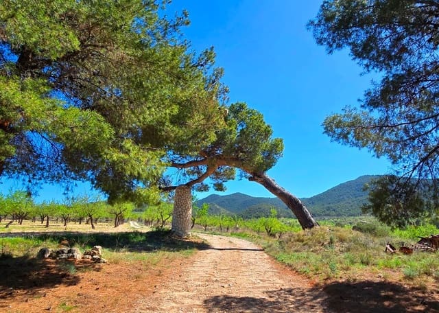 8 chambre Finca/Maison de Campagne à vendre à Jijona / Xixona avec garage - 549 000 € (Ref: 9827300)