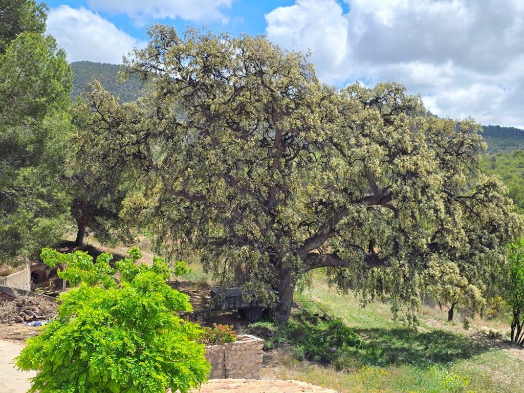 8 chambre Finca/Maison de Campagne à vendre à Jijona / Xixona avec garage - 549 000 € (Ref: 9827300)