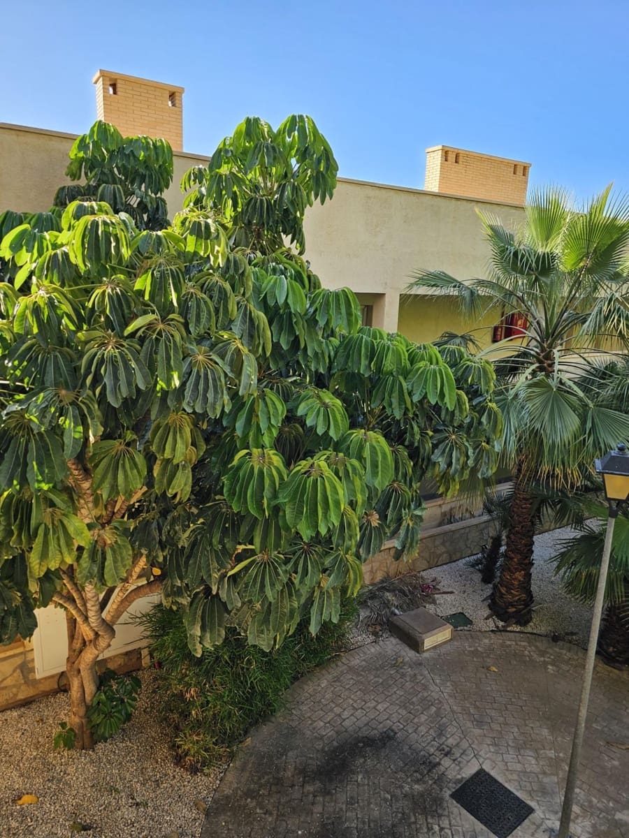 1 makuuhuone Asunto myytävänä paikassa La Envia Golf - 110 000 € (Ref: 9458648)