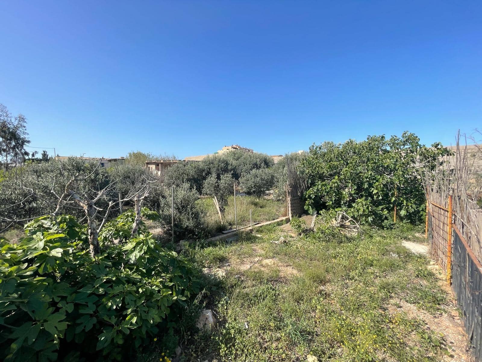 Företag till salu i Cortijos de Marin - 249 000 € (Ref: 9458662)