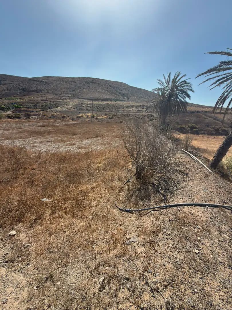 Landgrundstück zu verkaufen in Tuineje - 140.000 € (Ref: 10002394)