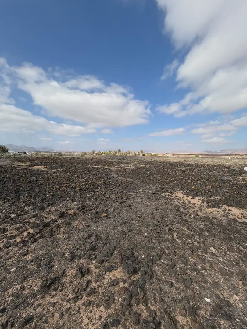 Ubebygd land til salgs i Tuineje - € 120 000 (Ref: 10165397)