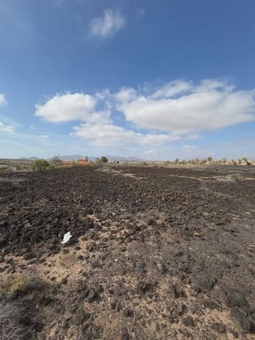 Ubebygd land til salgs i Tuineje - € 120 000 (Ref: 10165397)