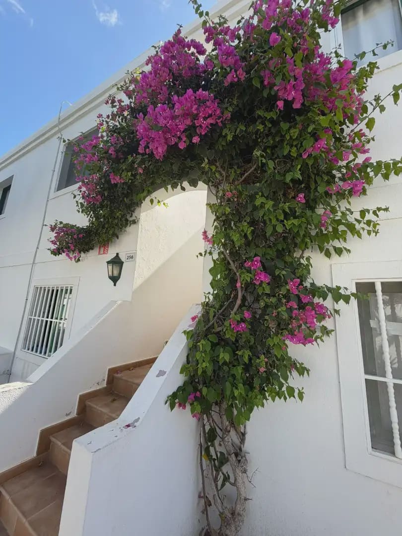 1 bedroom Apartment for sale in La Oliva with pool - € 189,000 (Ref: 10165509)