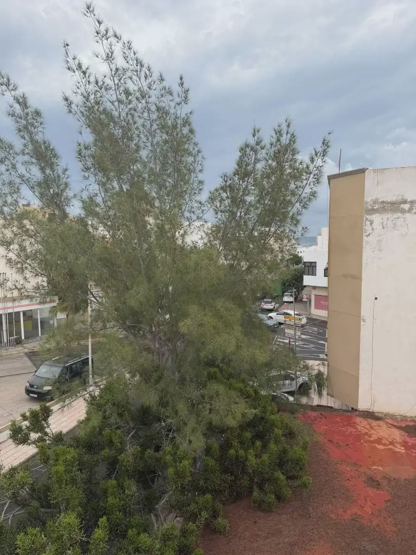 2 slaapkamer Flat te koop in Puerto del Rosario - € 210.000 (Ref: 10170314)