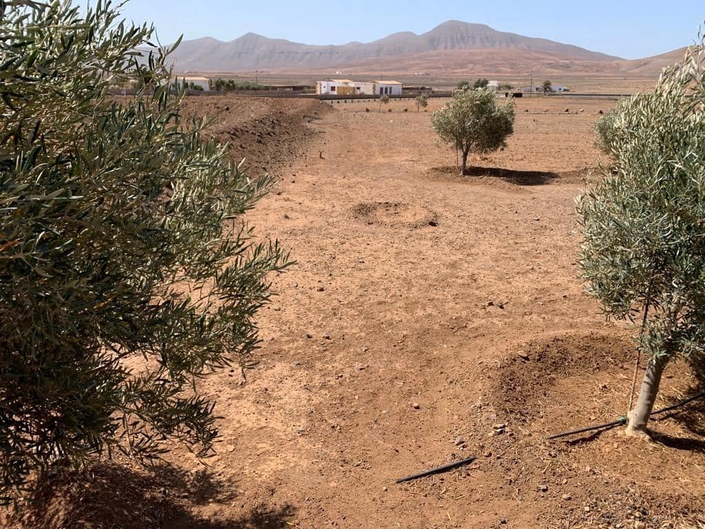 3 soverom Finca/Herregård til salgs i Puerto del Rosario med garasje - € 595 000 (Ref: 7581961)