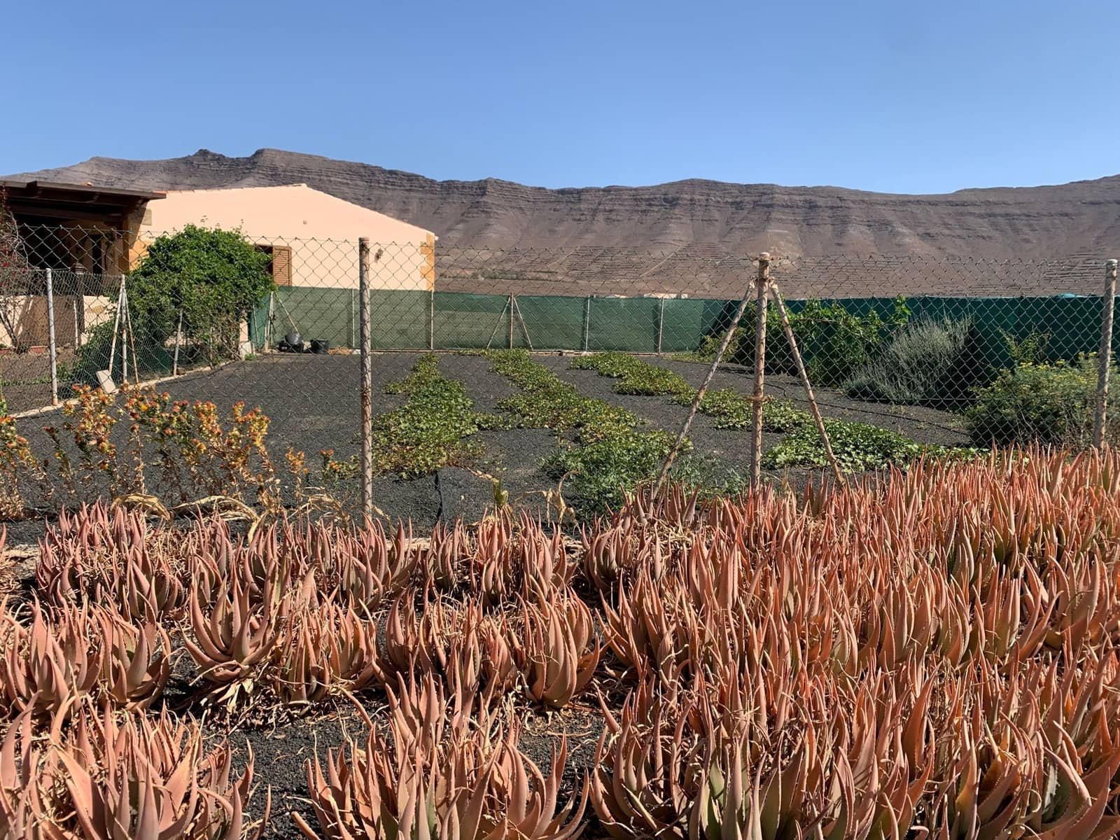 3 soverom Finca/Herregård til salgs i Puerto del Rosario med garasje - € 595 000 (Ref: 7581961)