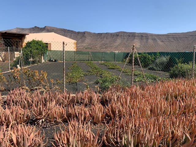 3 bedroom Finca/Country House for sale in Puerto del Rosario with garage - € 595,000 (Ref: 7581961)