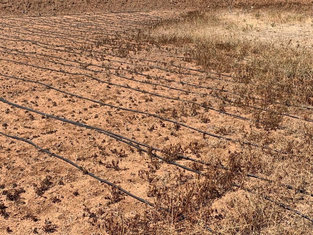 3 soverom Finca/Herregård til salgs i Puerto del Rosario med garasje - € 595 000 (Ref: 7581961)