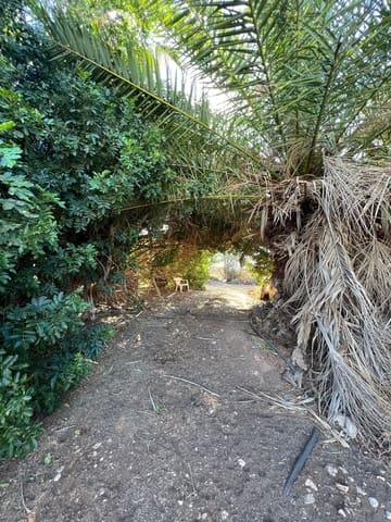 Finca/Country House for sale in Tuineje - € 370,000 (Ref: 7649132)