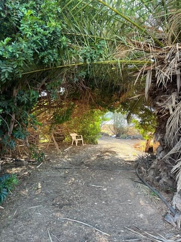 Finca/Country House for sale in Tuineje - € 370,000 (Ref: 7649132)