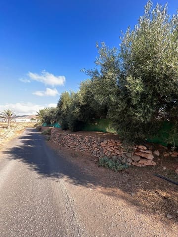 Finca/Country House for sale in Tuineje - € 370,000 (Ref: 7649132)