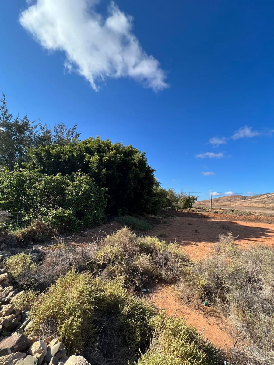 Finca/Landehus til salg i Tuineje - € 370.000 (Ref: 7649132)