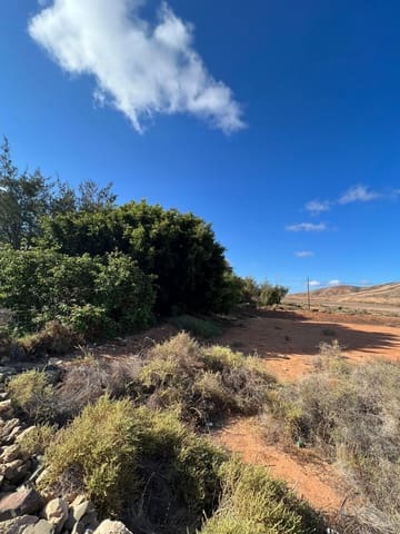 Finca/Country House for sale in Tuineje - € 370,000 (Ref: 7649132)