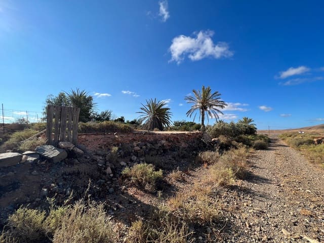 Finca/Country House for sale in Tuineje - € 370,000 (Ref: 7649132)