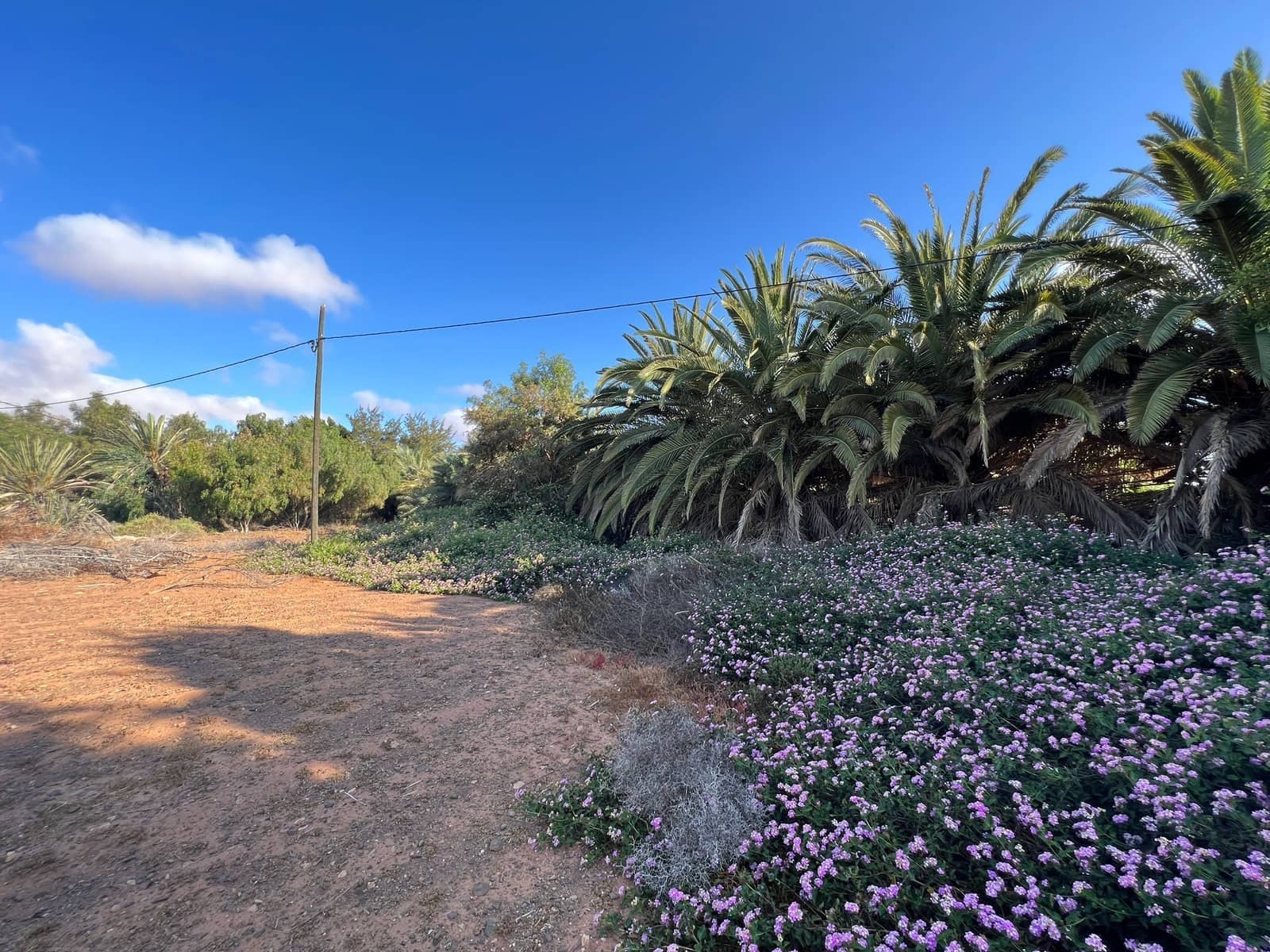 Finca/Landehus til salg i Tuineje - € 370.000 (Ref: 7649132)