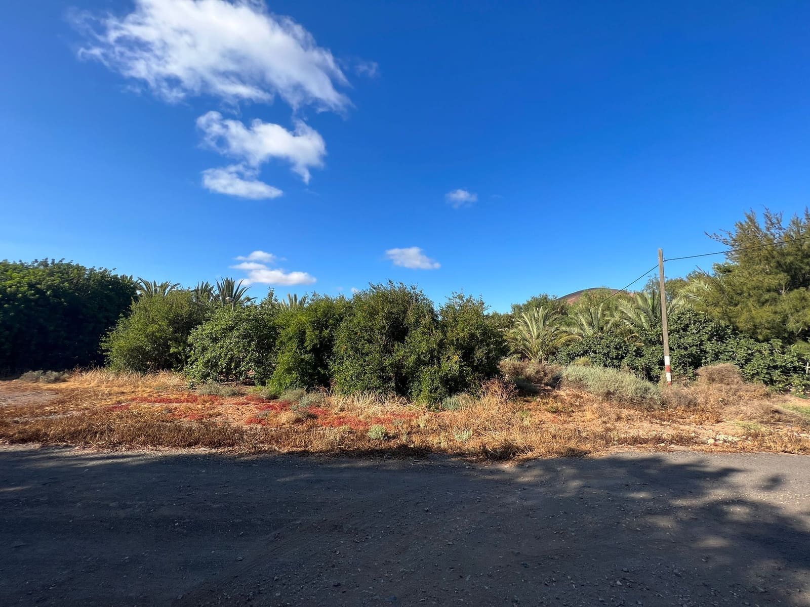 Finca/Landehus til salg i Tuineje - € 370.000 (Ref: 7649132)