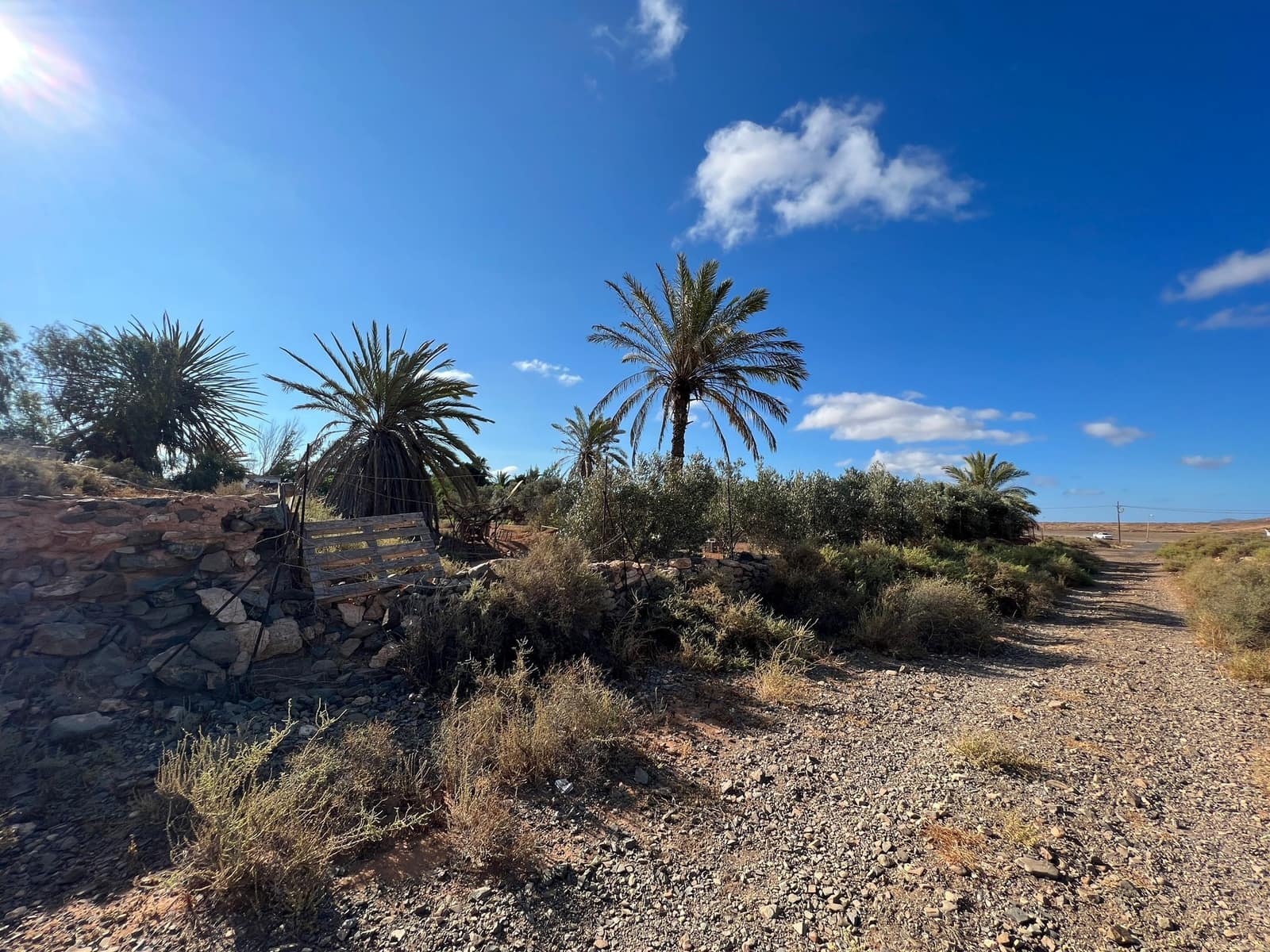 Finca/Landehus til salg i Tuineje - € 370.000 (Ref: 7649132)