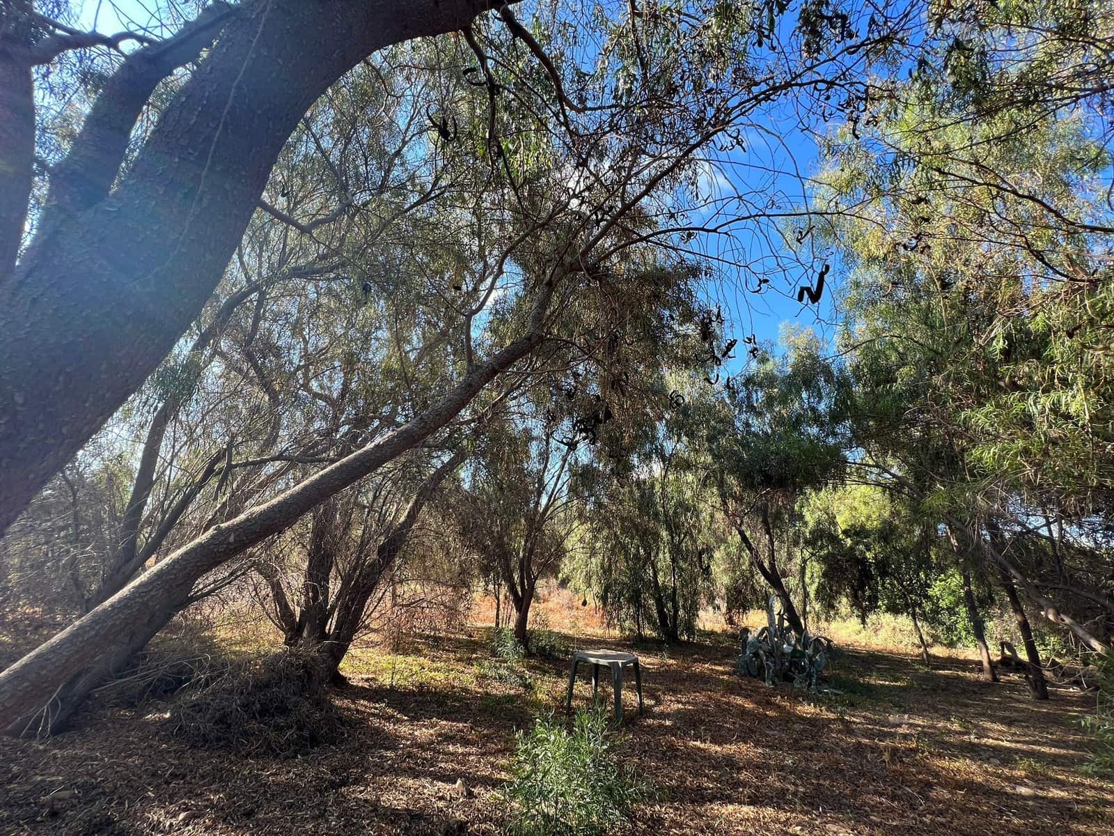 Finca/Landehus til salg i Tuineje - € 370.000 (Ref: 7649132)