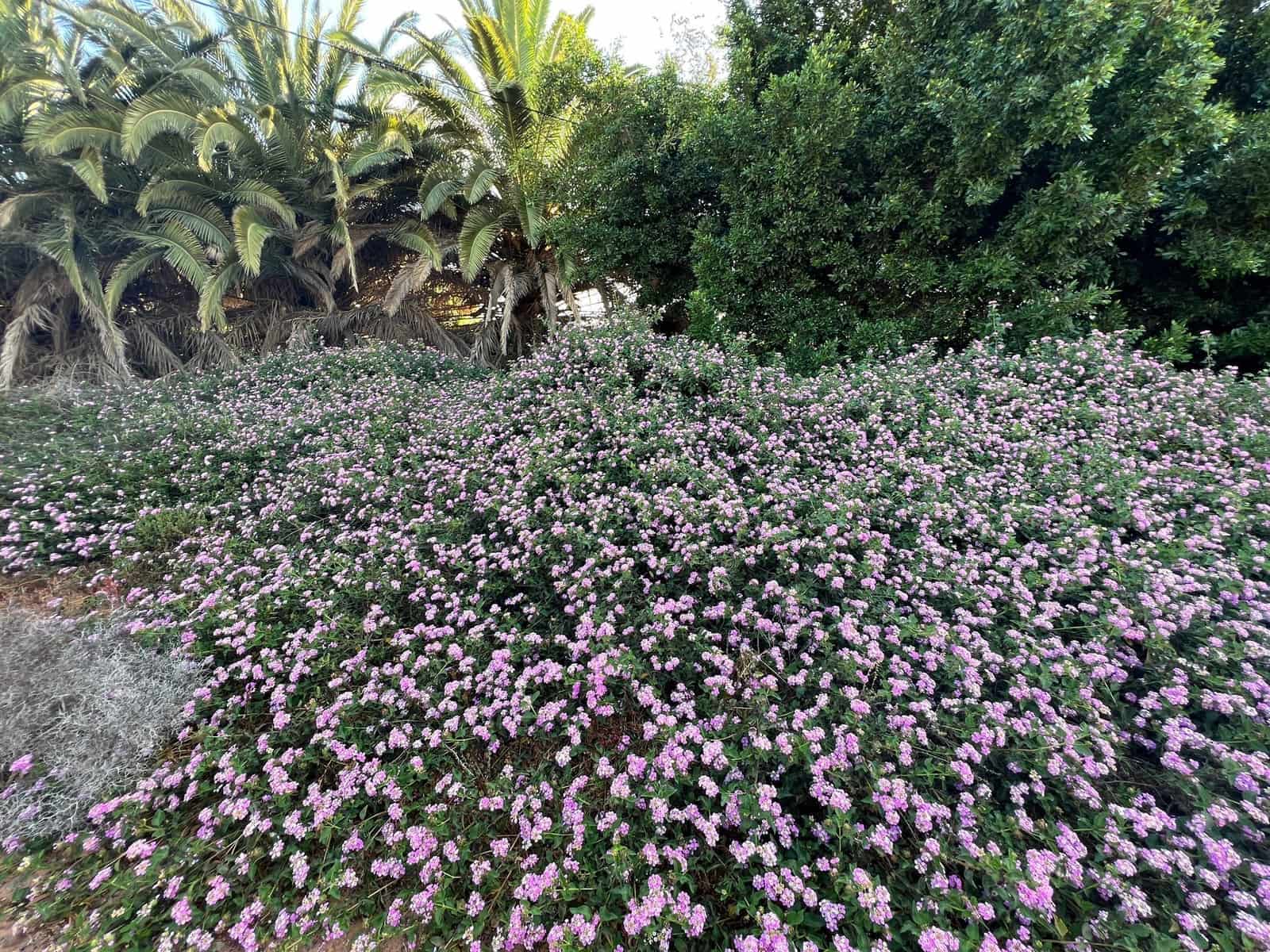 Finca/Landehus til salg i Tuineje - € 370.000 (Ref: 7649132)