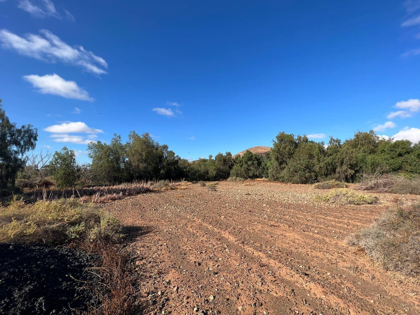 Finca/Landehus til salg i Tuineje - € 370.000 (Ref: 7649132)