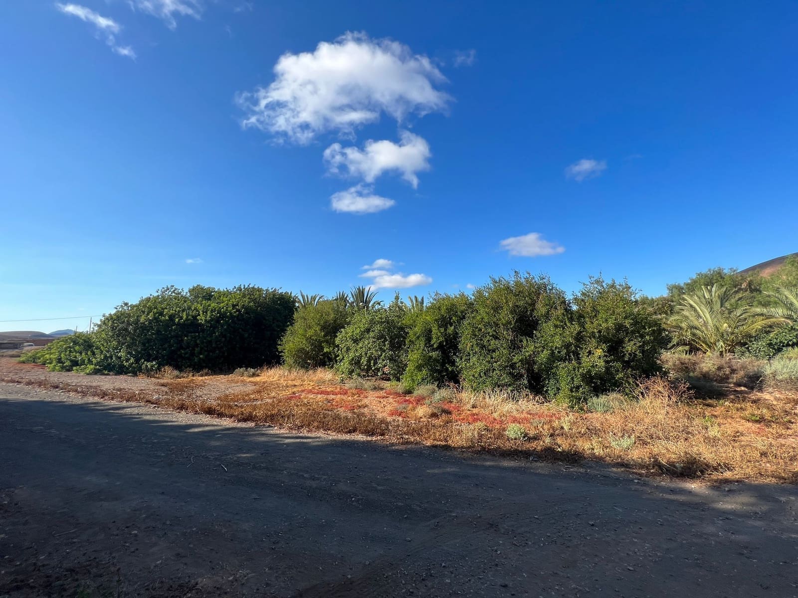 Finca/Landehus til salg i Tuineje - € 370.000 (Ref: 7649132)