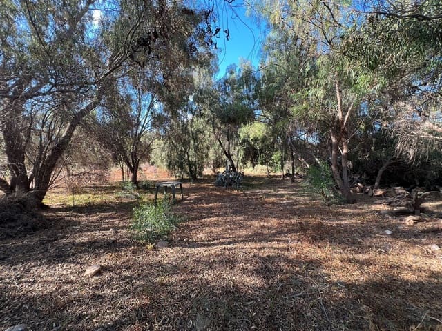 Finca/Country House for sale in Tuineje - € 370,000 (Ref: 7649132)