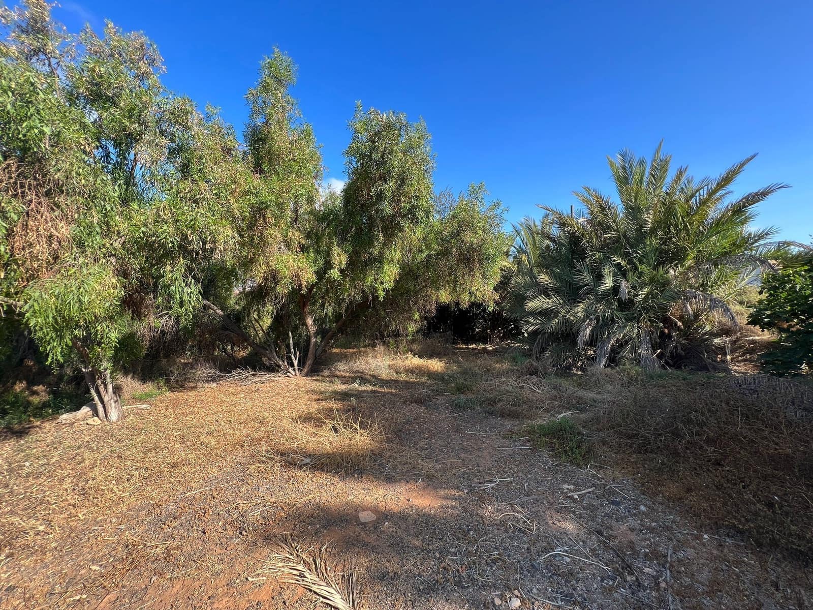 Finca/Landehus til salg i Tuineje - € 370.000 (Ref: 7649132)