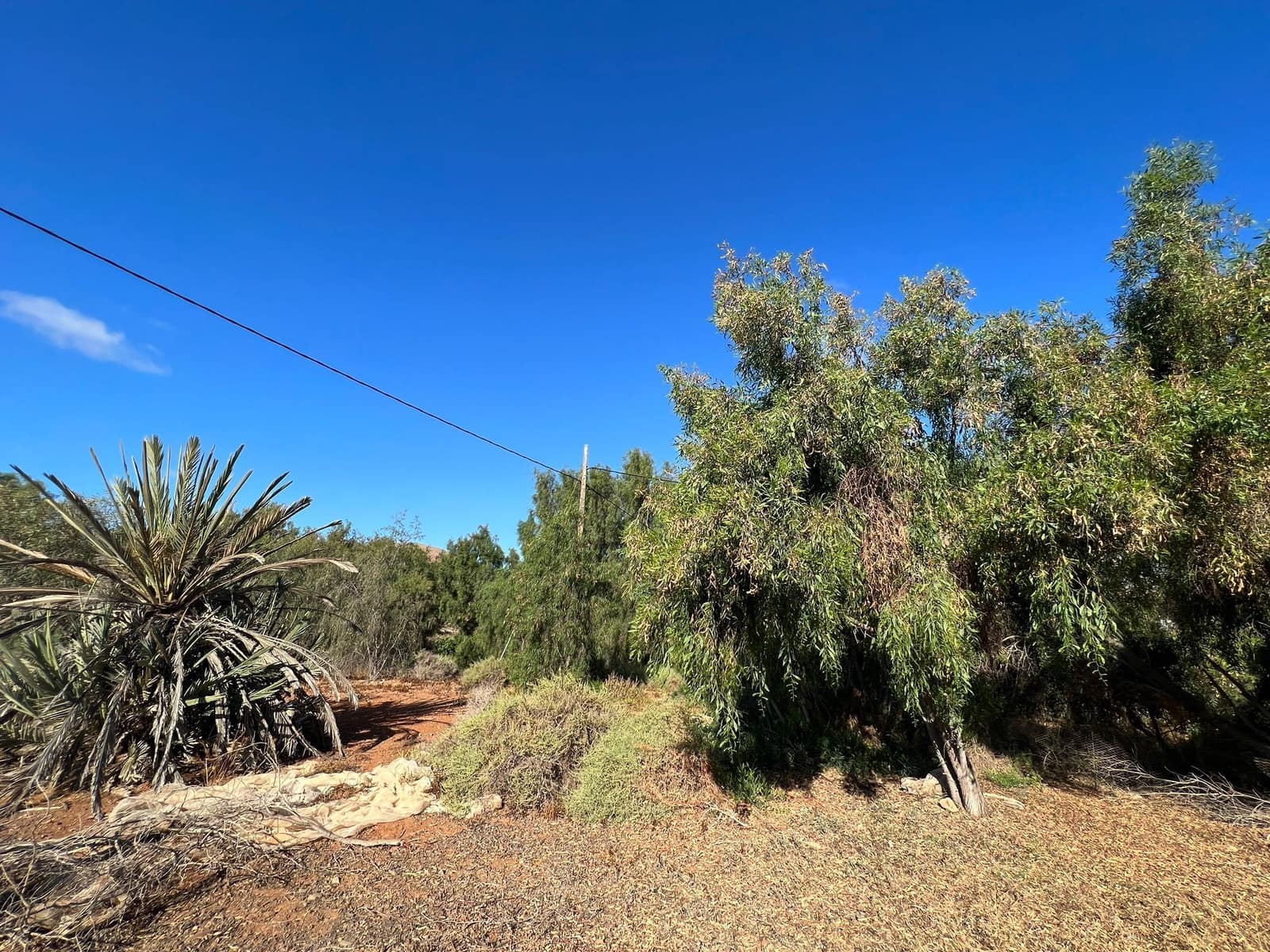 Finca/Landehus til salg i Tuineje - € 370.000 (Ref: 7649132)