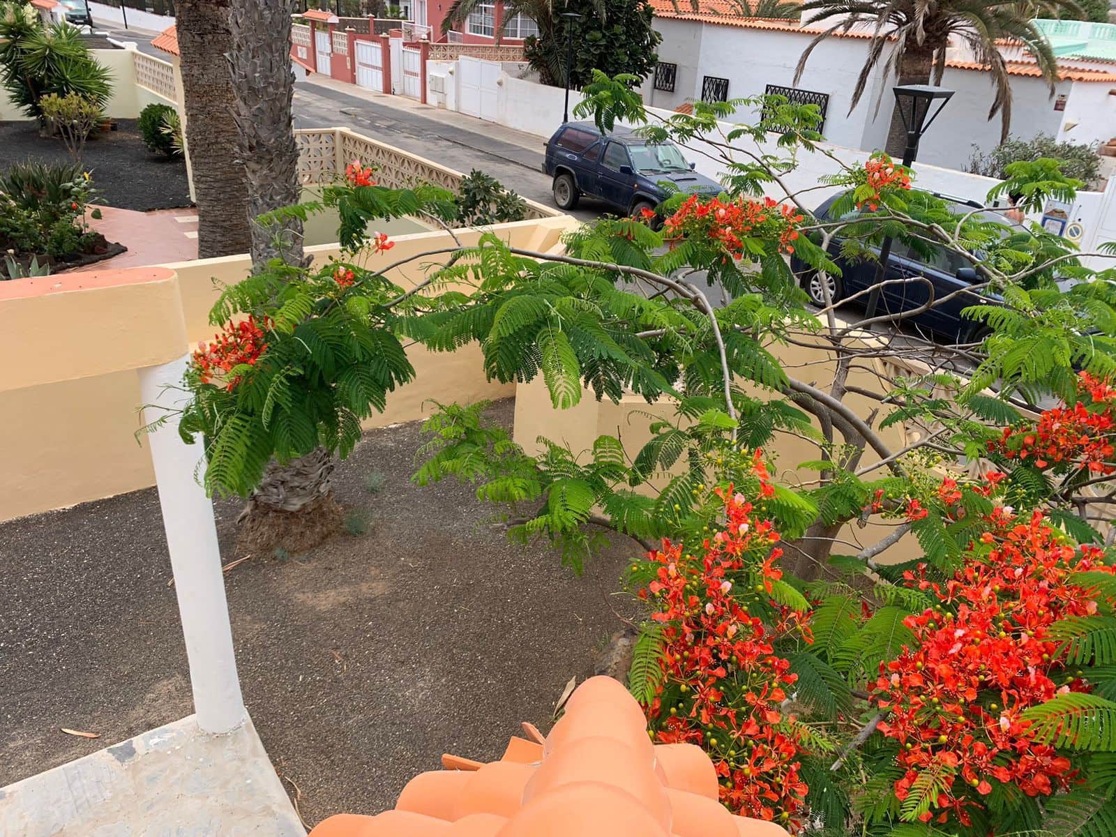 5 soveværelse Villa til salg i Corralejo med swimmingpool garage - € 1.780.000 (Ref: 8370328)