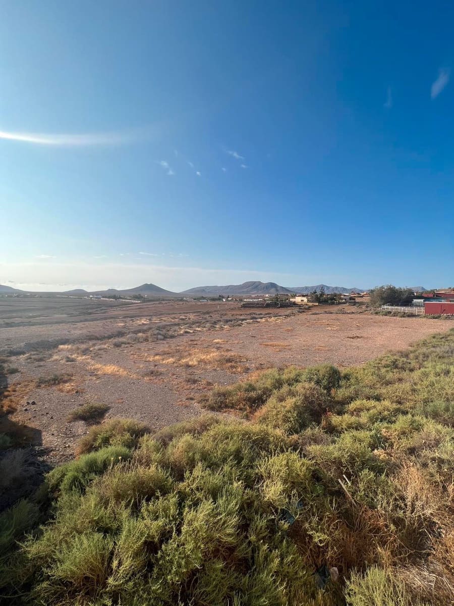 Restaurant/Bar til salg i Triquivijate - € 540.000 (Ref: 8372520)