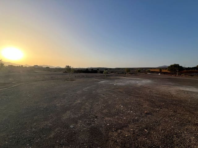 3 soveværelse Villa til salg i Tuineje med swimmingpool garage - € 529.000 (Ref: 8605760)