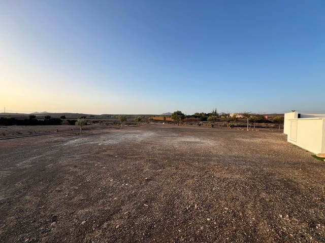 3 soveværelse Villa til salg i Tuineje med swimmingpool garage - € 529.000 (Ref: 8605760)