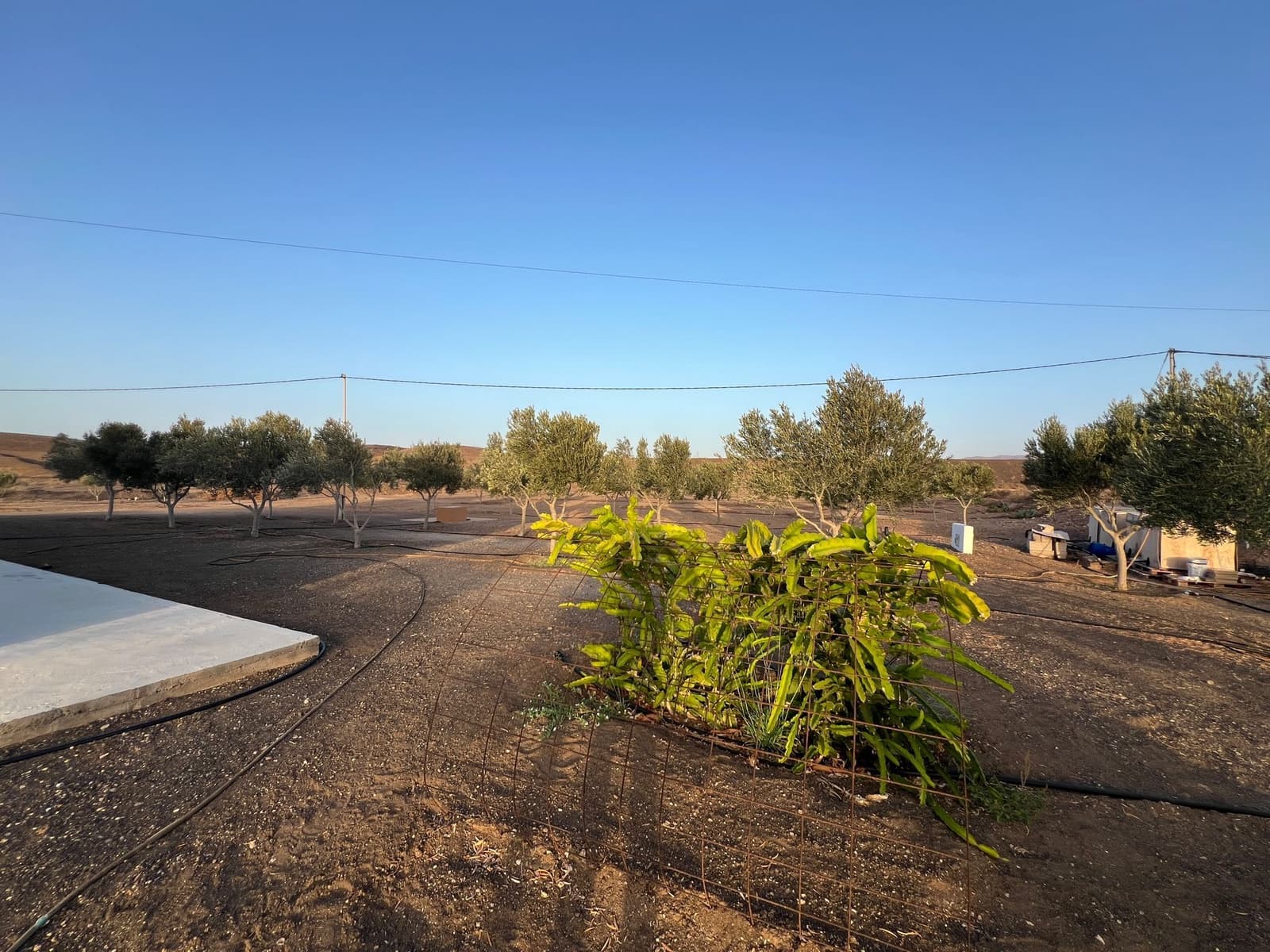 3 chambre Villa/Maison à vendre à Tuineje avec piscine garage - 529 000 € (Ref: 8605760)