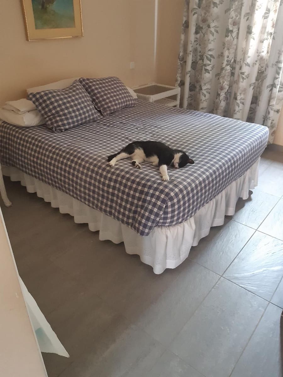 7 soveværelse Villa til salg i Puerto del Rosario med swimmingpool garage - € 850.000 (Ref: 8654167)