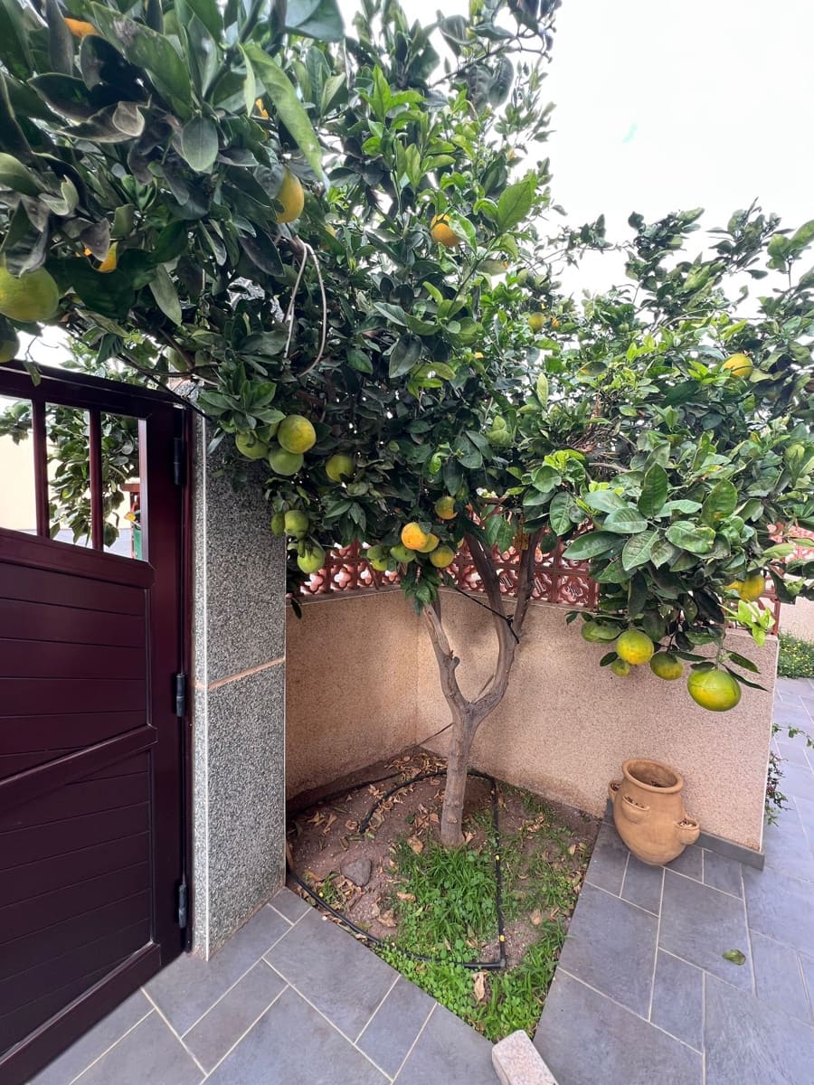 7 soveværelse Villa til salg i Puerto del Rosario med swimmingpool garage - € 850.000 (Ref: 8654167)