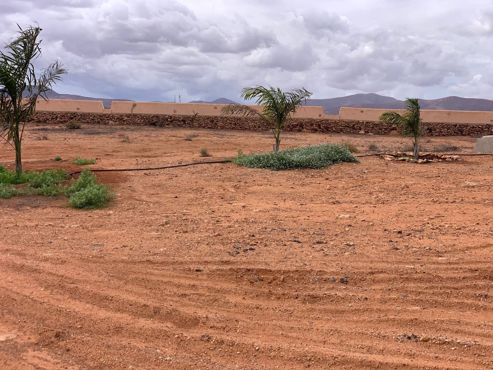 4 bedroom Villa for sale in Triquivijate with garage - € 590,000 (Ref: 8656546)