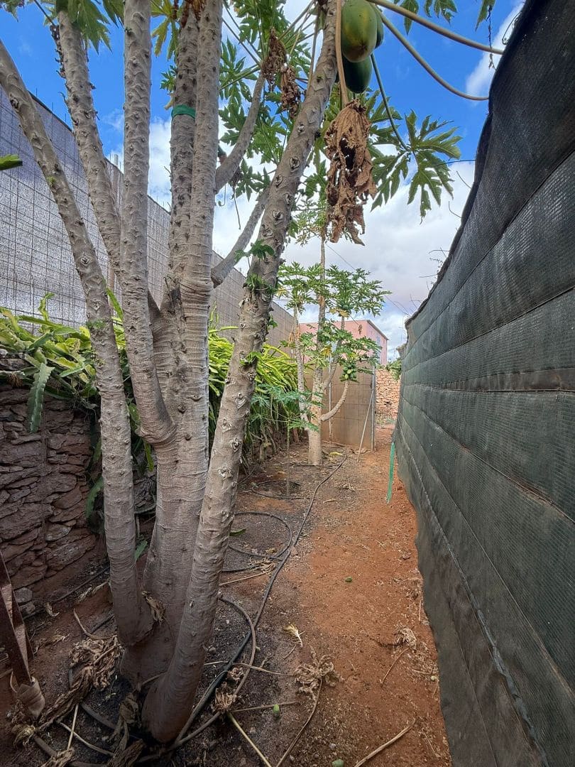 Finca/Casa di Campagna in vendita in Antigua - 450.000 € (Rif: 9646744)