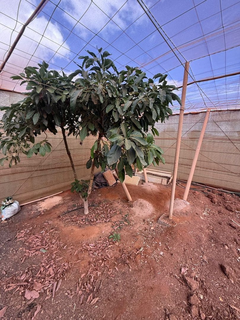 Finca/Casa di Campagna in vendita in Antigua - 450.000 € (Rif: 9646744)