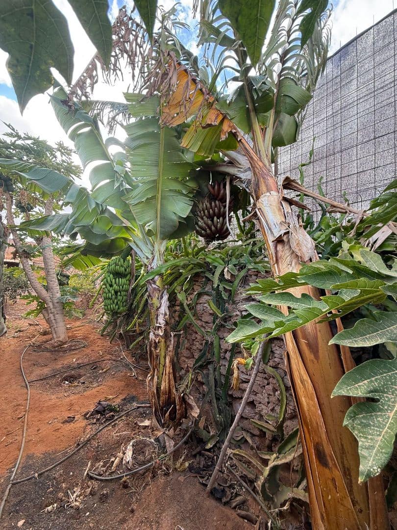 Finca/Casa di Campagna in vendita in Antigua - 450.000 € (Rif: 9646744)