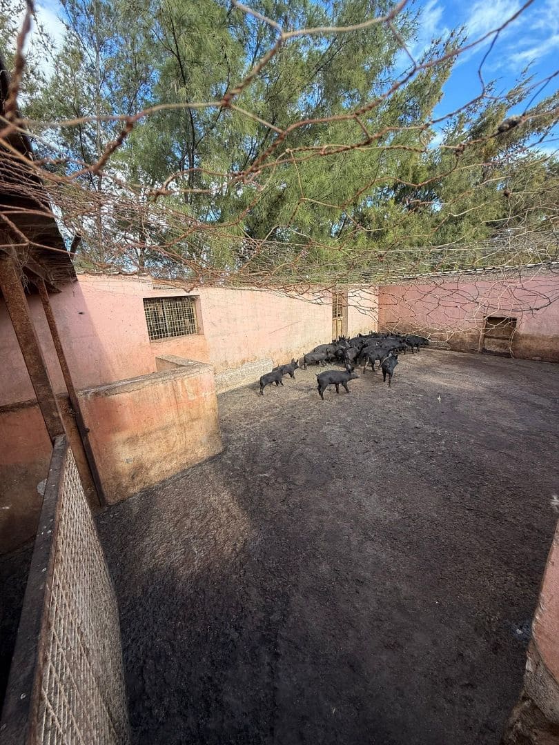 Finca/Casa di Campagna in vendita in Antigua - 450.000 € (Rif: 9646744)