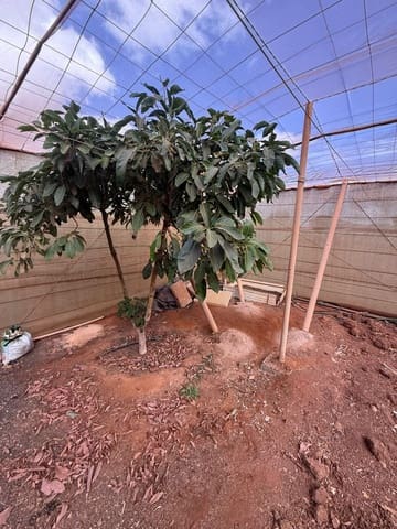 Finca/Casa di Campagna in vendita in Antigua - 450.000 € (Rif: 9646744)