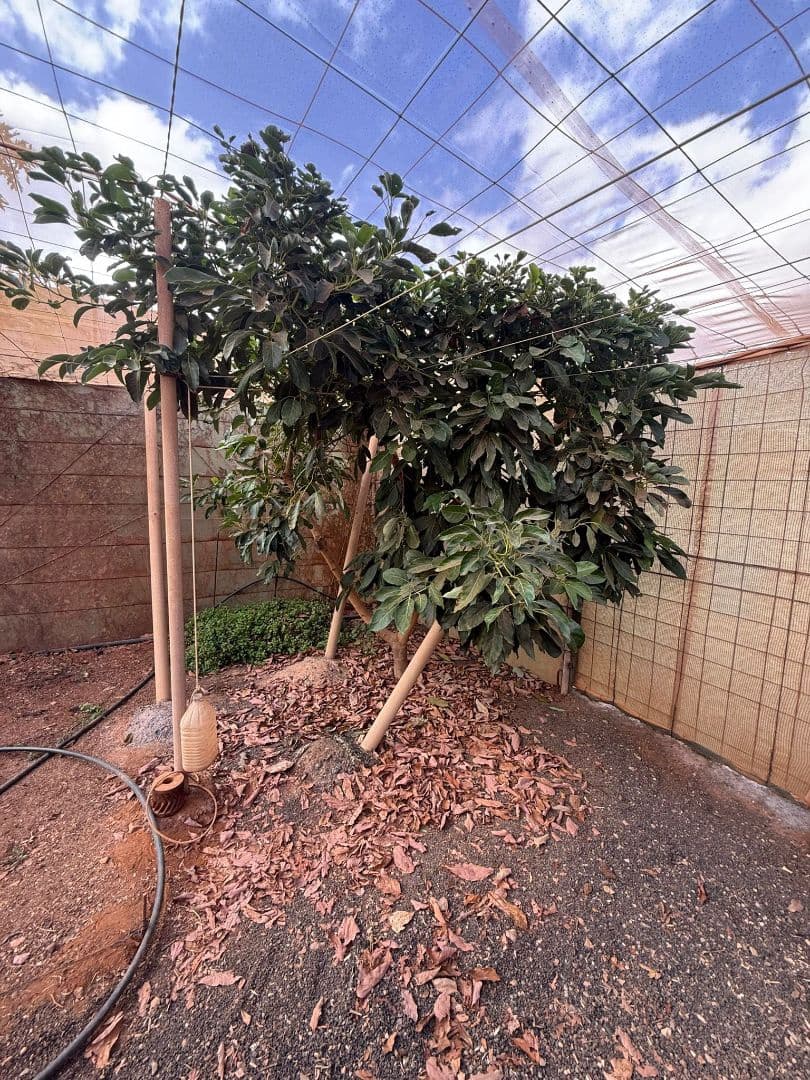 Finca/Casa di Campagna in vendita in Antigua - 450.000 € (Rif: 9646744)