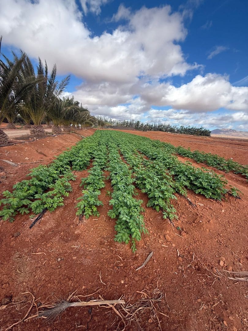 Finca/Casa di Campagna in vendita in Antigua - 450.000 € (Rif: 9646744)