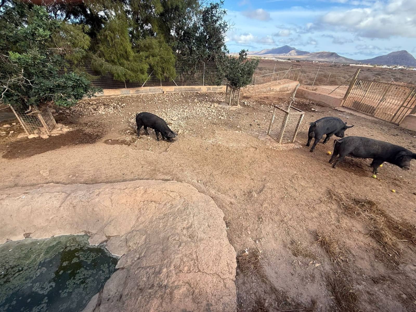 Finca/Casa di Campagna in vendita in Antigua - 450.000 € (Rif: 9646744)