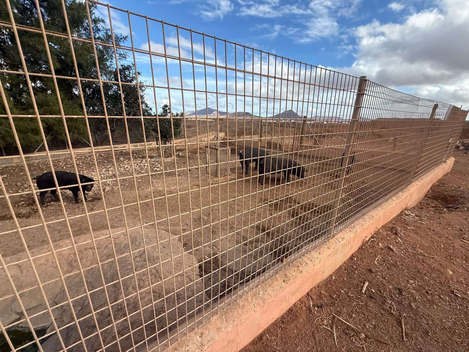 Finca/Casa di Campagna in vendita in Antigua - 450.000 € (Rif: 9646744)