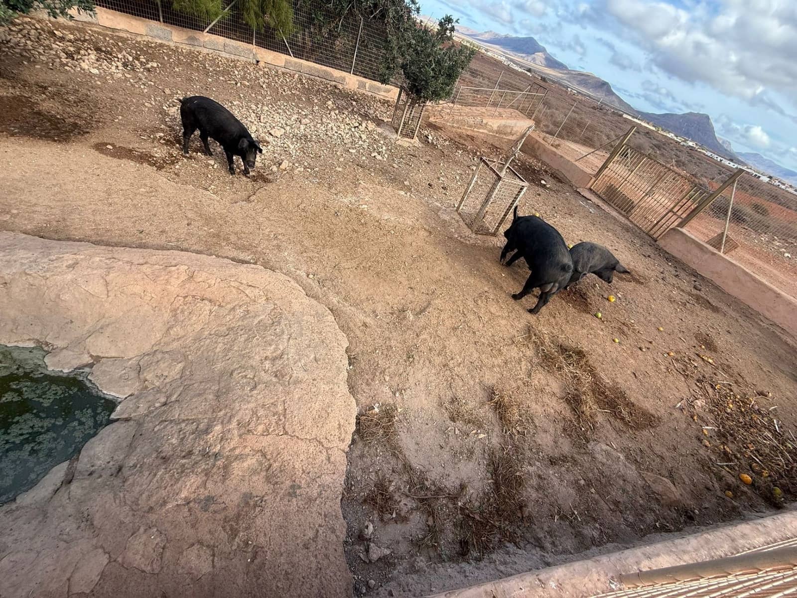 Finca/Casa di Campagna in vendita in Antigua - 450.000 € (Rif: 9646744)