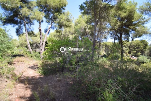 Tomt till salu i Centro ciudad, Javea / Xàbia - 240 000 € (Ref: 9360201)