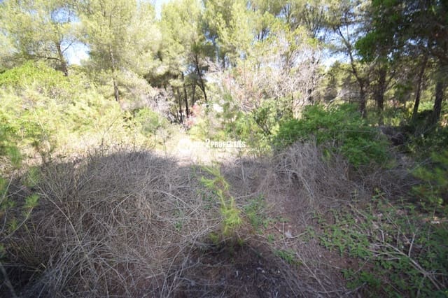 Tomt till salu i Centro ciudad, Javea / Xàbia - 240 000 € (Ref: 9360201)